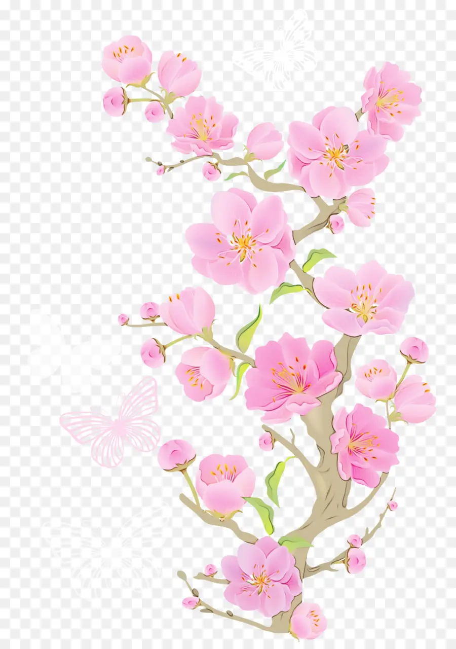 Flores Rosadas，Florecer PNG