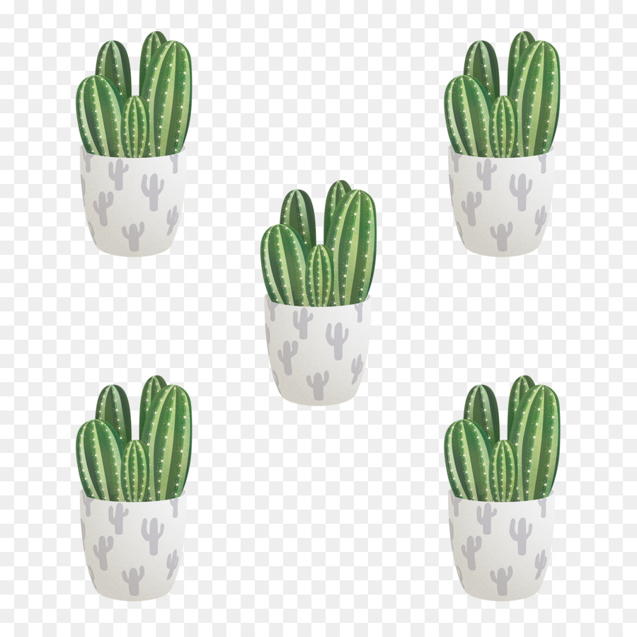 Maceta，Cactus PNG