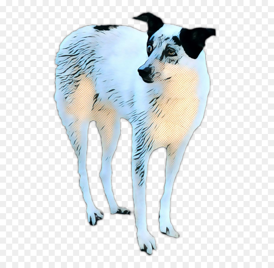 Perro，Mascota PNG