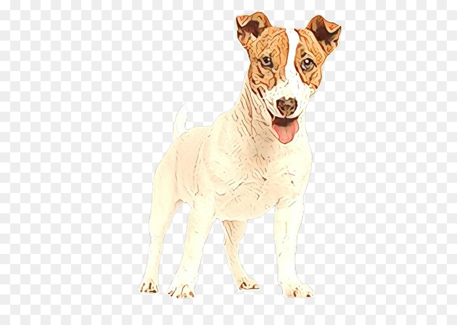 Raza De Perro，Perro PNG