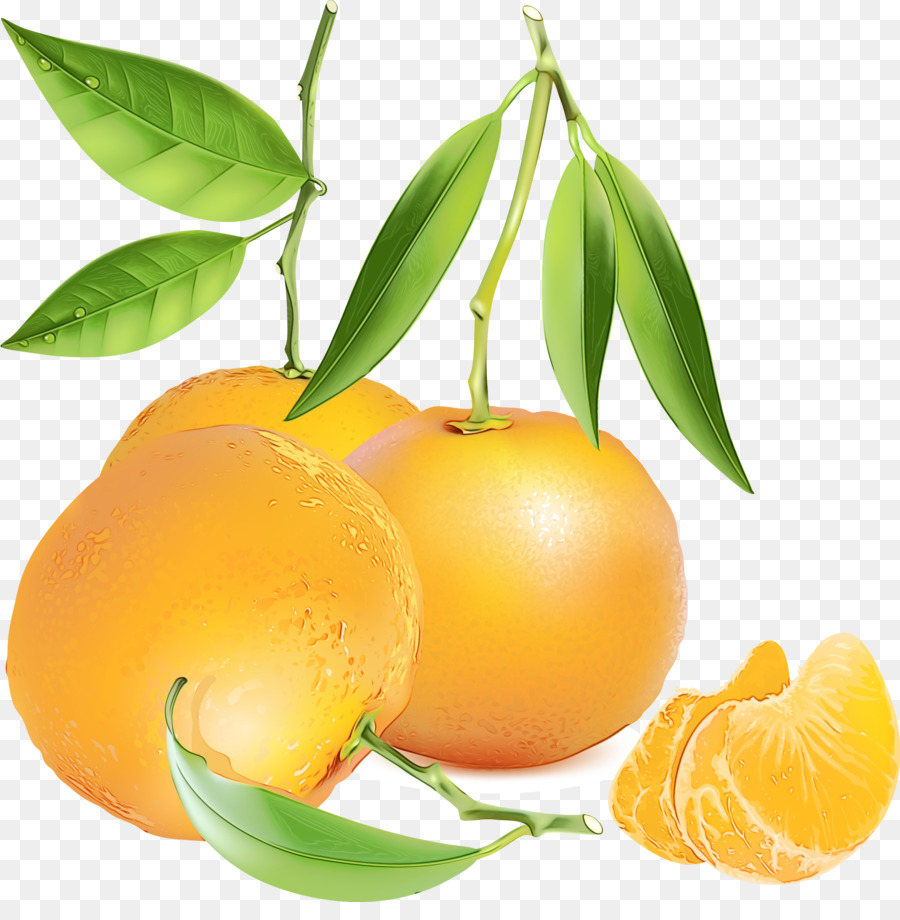 Naranjas，Agrios PNG