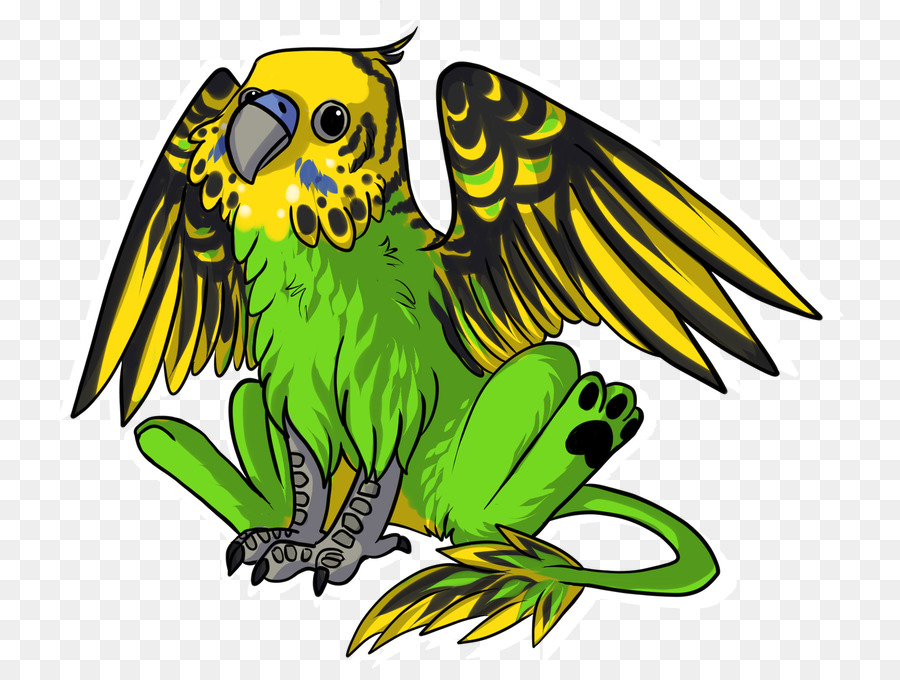 Budgericar，Loro PNG