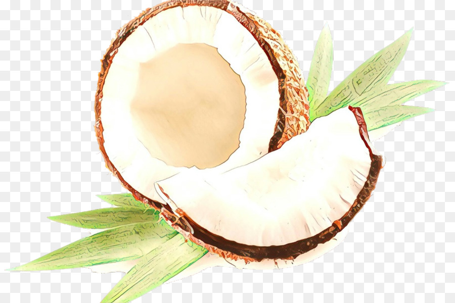 El Aceite De Coco，Coco PNG