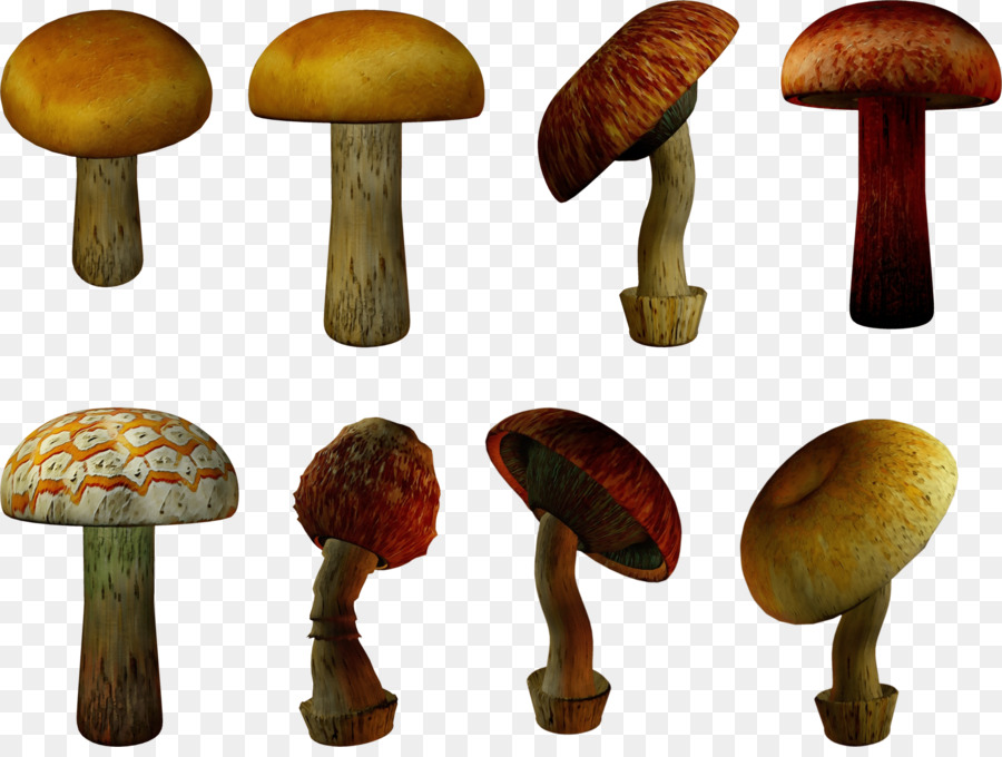 Hongos，Variedad PNG