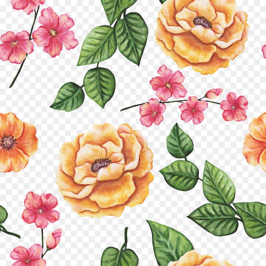 Diseño Floral，Familia De Las Rosas PNG