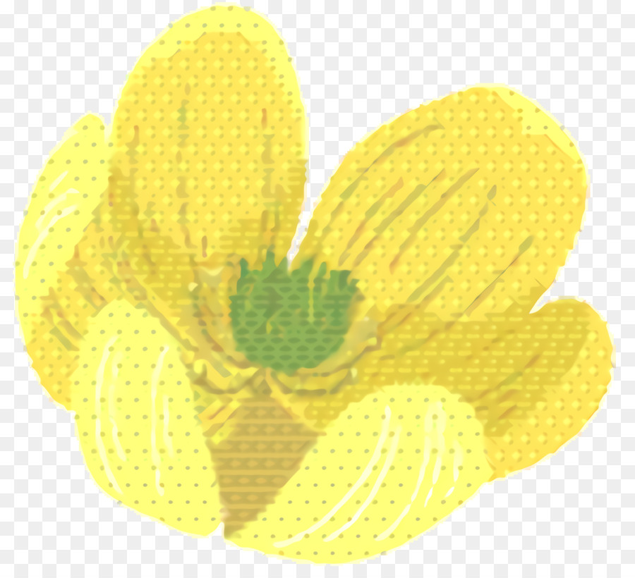 Amarillo，La Floración De La Planta PNG