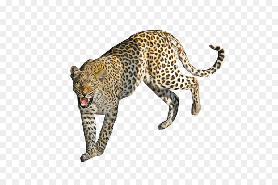 Leopardo，Guepardo PNG