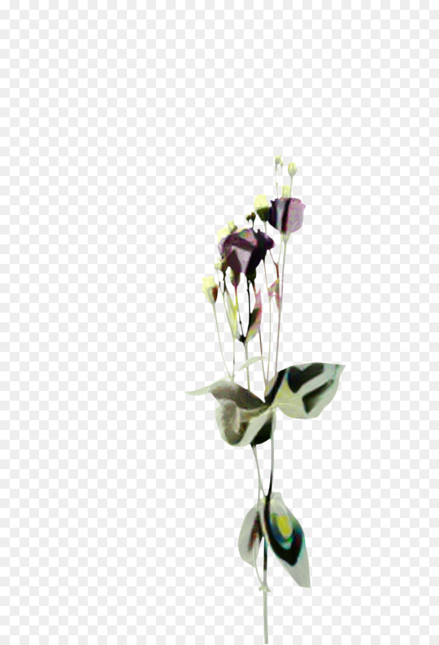 Las Flores Cortadas，Florero PNG