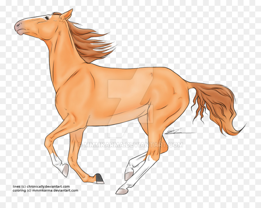 Mustang，Melena PNG