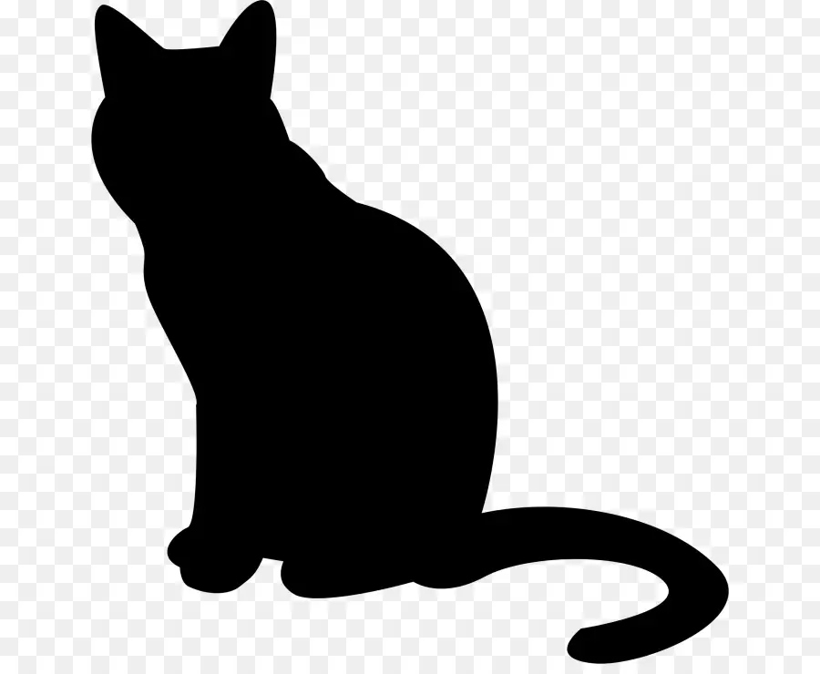 Gato，Silueta PNG