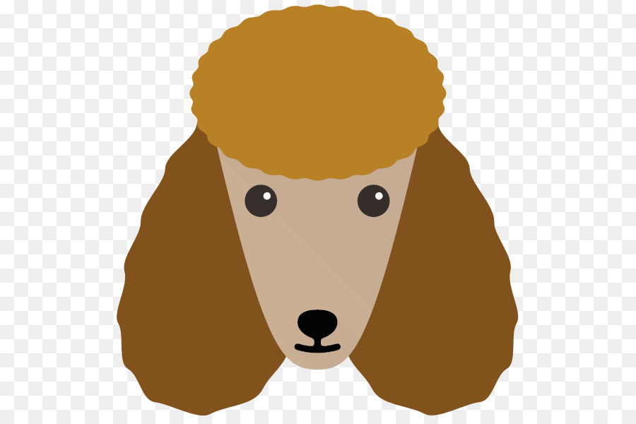 Caniche，Cachorro PNG