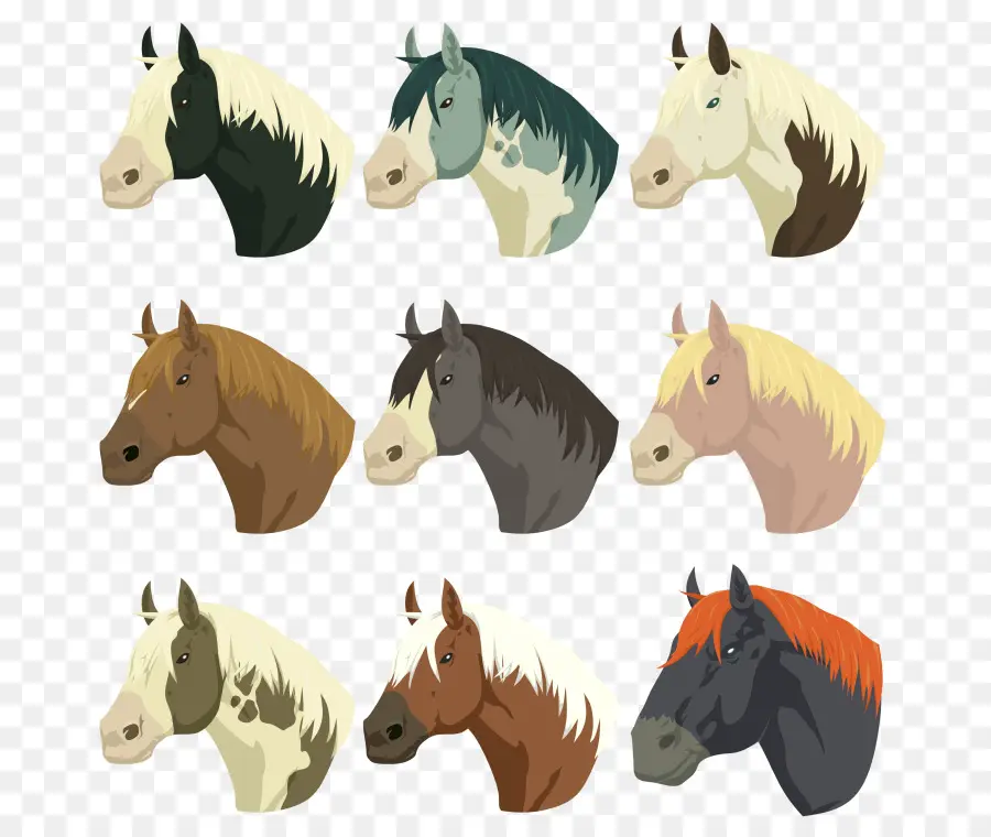 Cabezas De Caballo，Caballos PNG