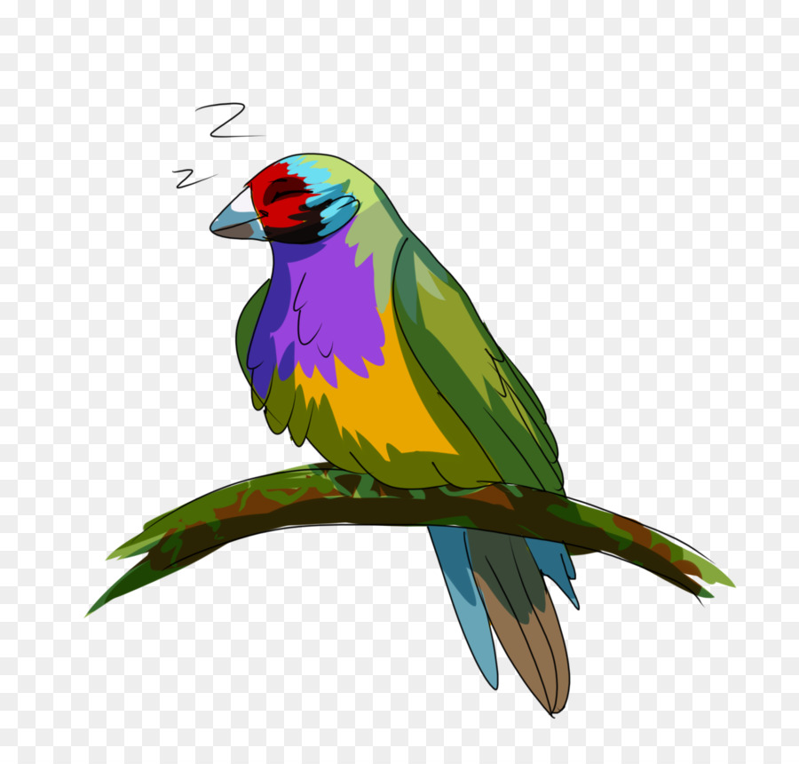 Guacamayo，Agapornis PNG