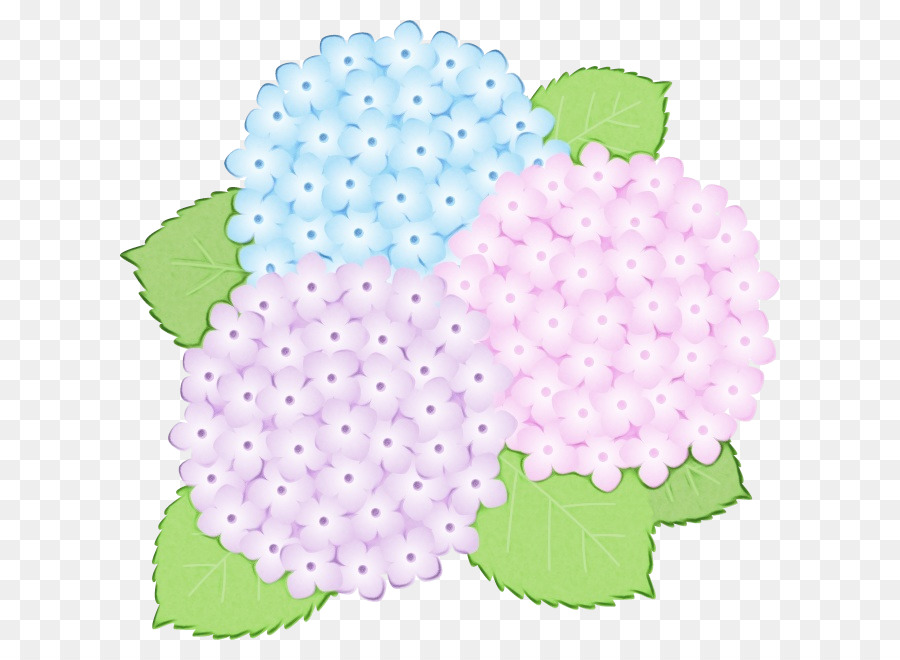 Hortensia， PNG