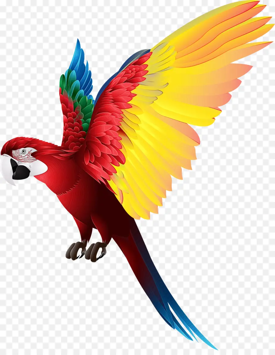 Fénix，Pájaro Mítico PNG