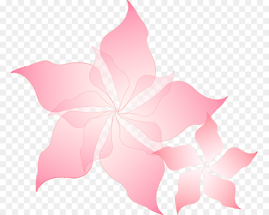 Flor，Diseño Floral PNG