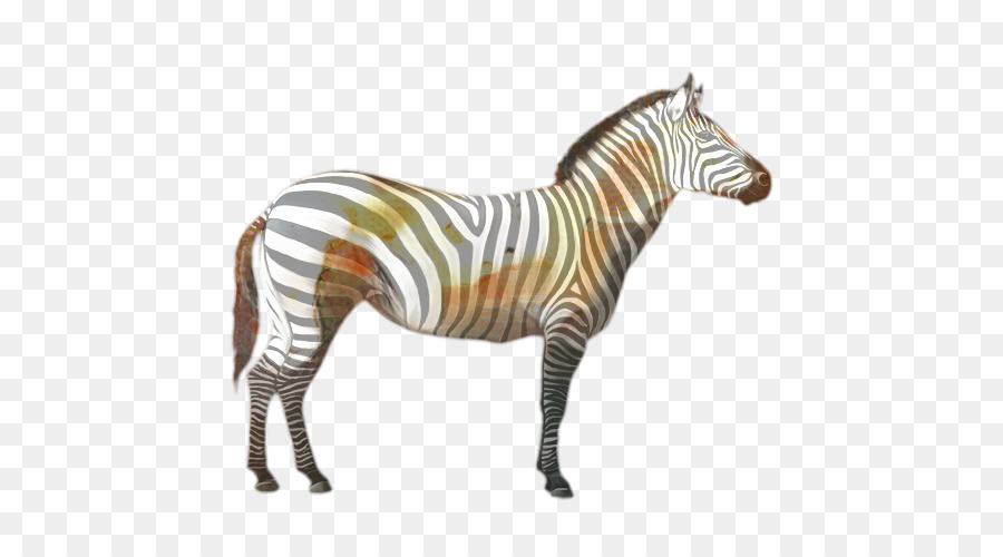 Quagga，Caballo PNG