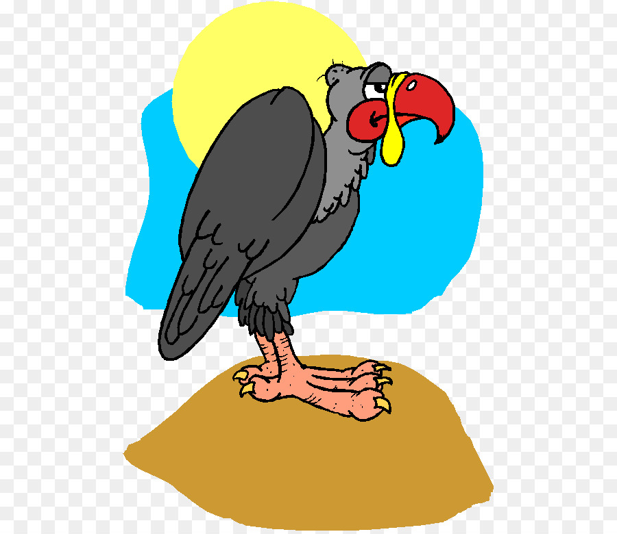 Buitre，Aves PNG