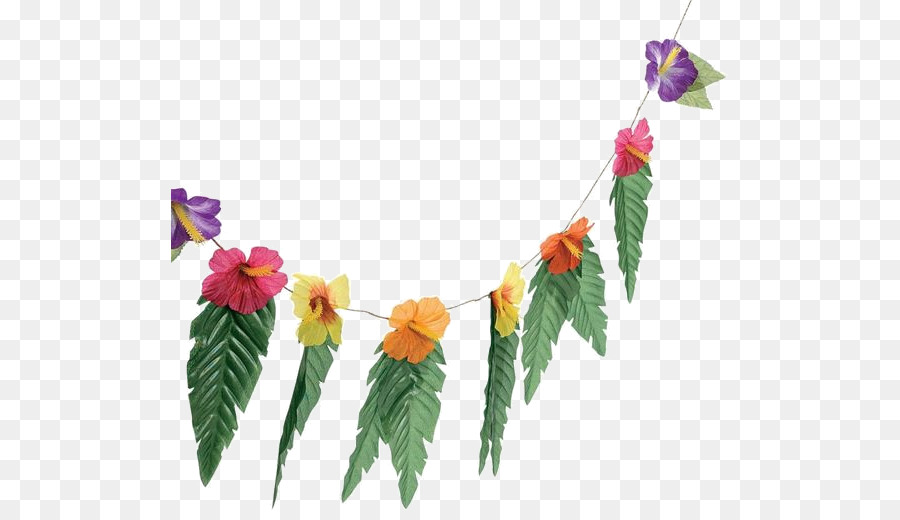 Luau，Lei PNG