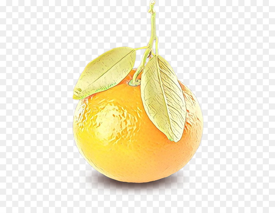 Naranja，Agrios PNG