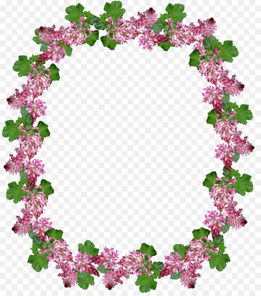 Marcos De Imagen，Diseño Floral PNG