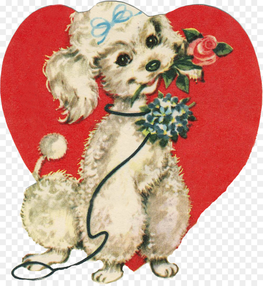 Caniche，Poodle Estándar PNG