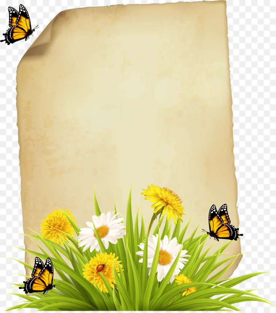 Papel En Blanco Con Flores，Mariposas PNG