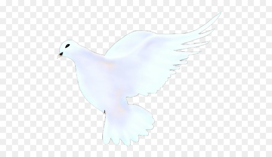 Paloma Blanca，Vuelo PNG