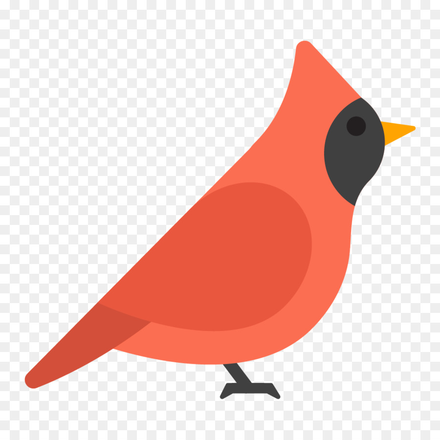 Pájaro，Pluma PNG