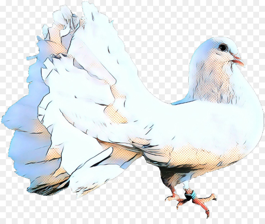 Pollo，Las Palomas Y Las Palomas PNG