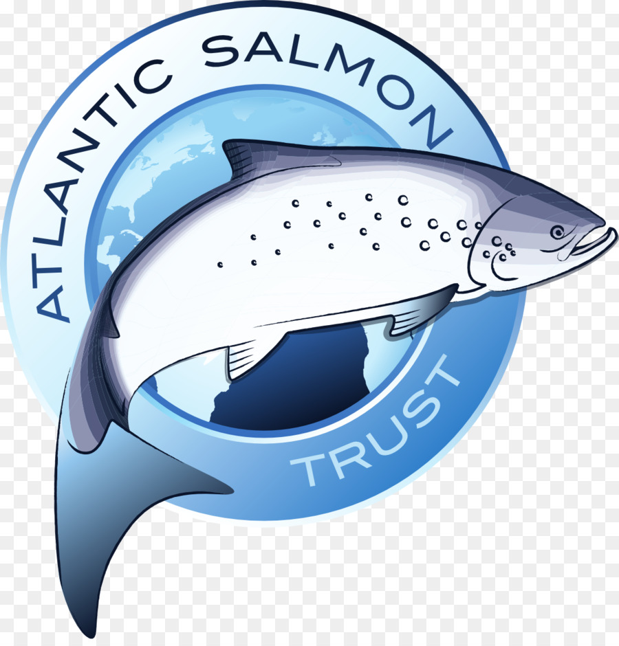 El Salmón Del Atlántico，Salmón PNG