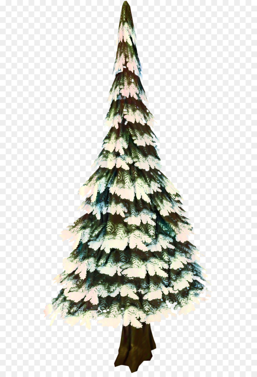 árbol De Navidad，Abeto PNG