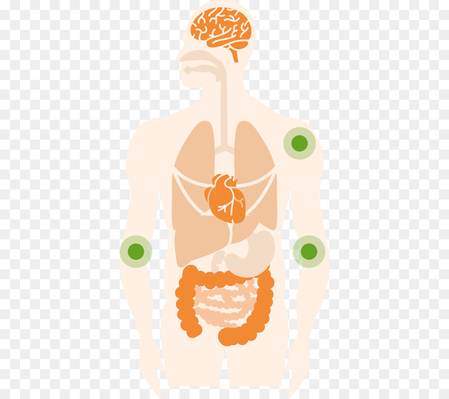 Farmacia，El Cuidado De La Salud PNG