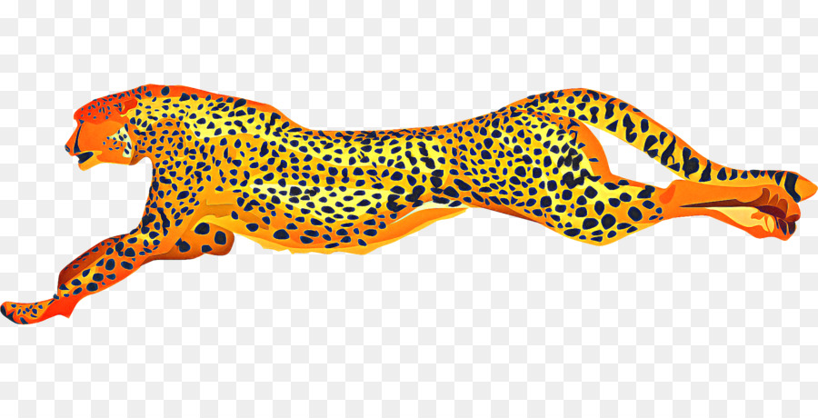 Guepardo，Leopardo PNG