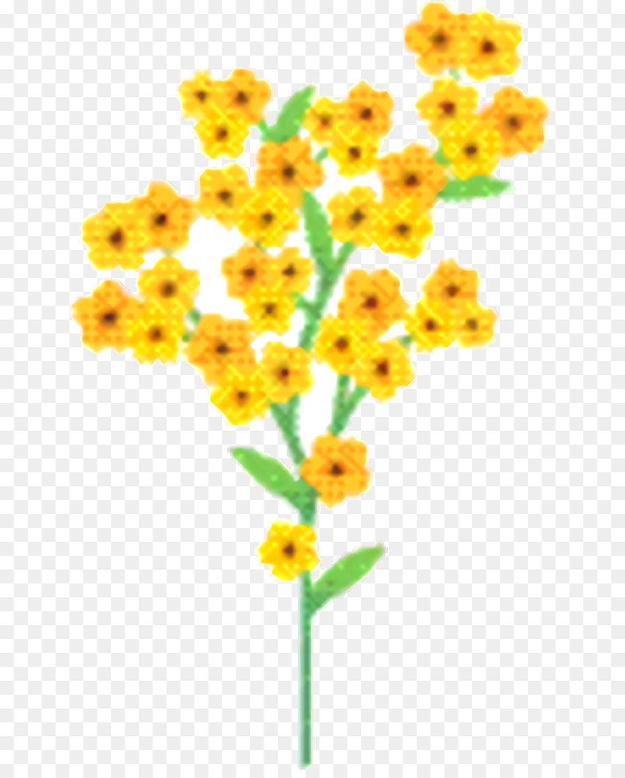 Las Flores Cortadas，Crisantemo PNG