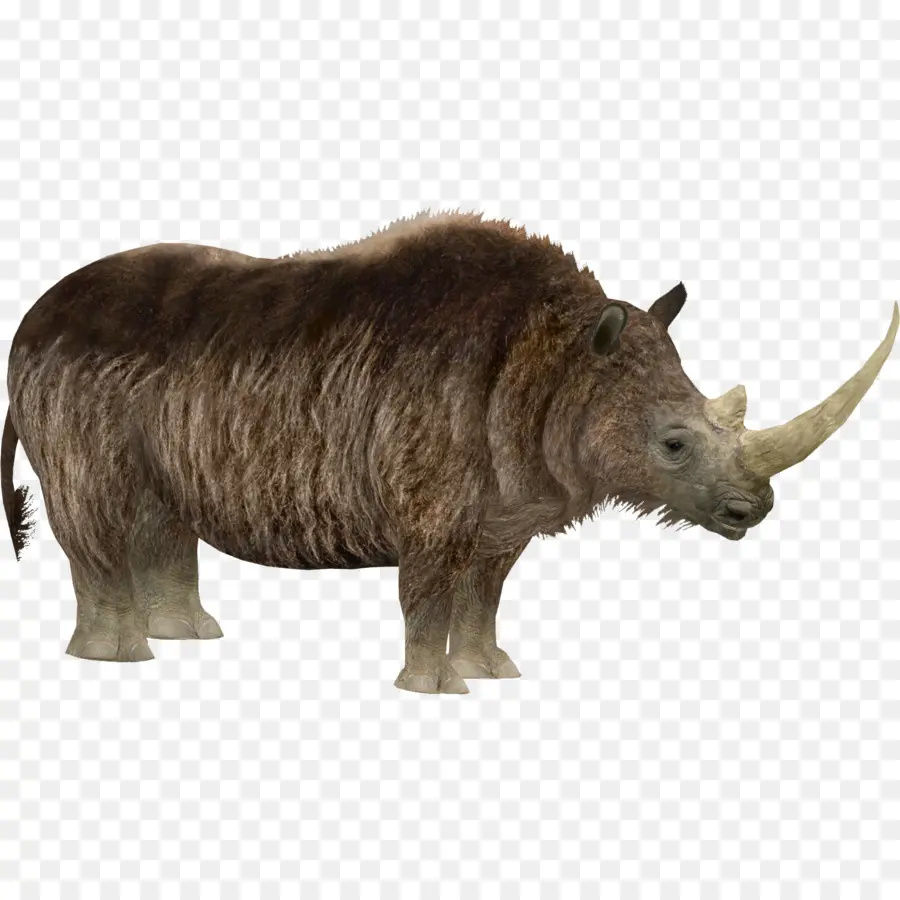 Rinoceronte，Zoo Tycoon 2 Animales Extintos PNG