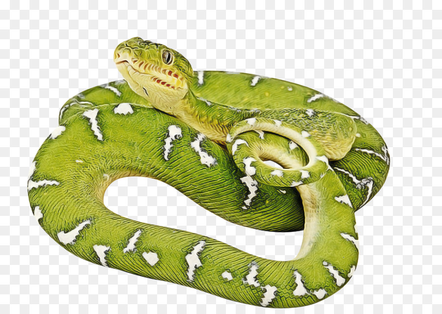 Reptiles，Las Serpientes PNG