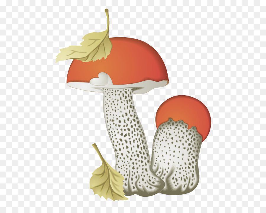 Bollo De Penny，Brown Tapa De Boletus PNG