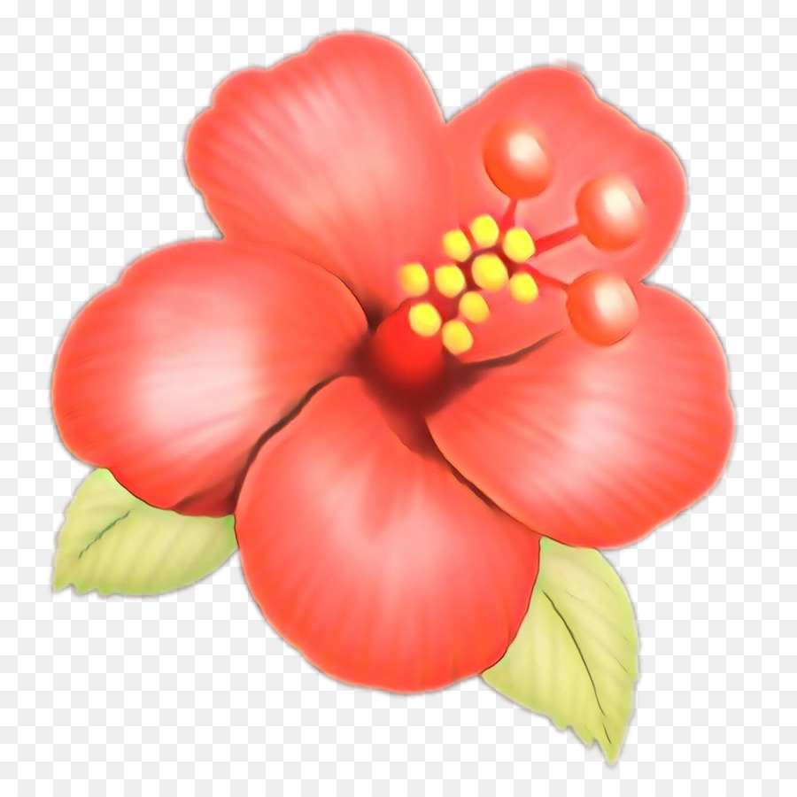 La Floración De La Planta，Barry M PNG