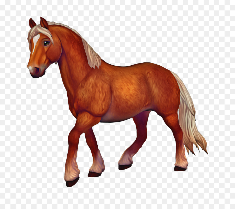 Star Stable，Caballo Sueco Del Norte PNG