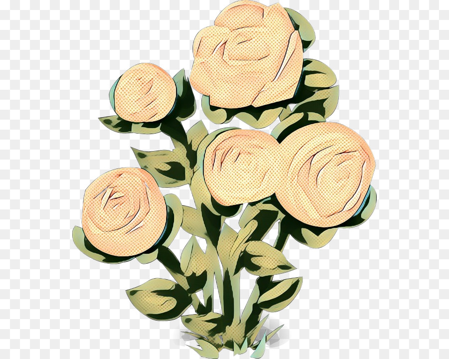 Las Flores Cortadas，Familia De Las Rosas PNG