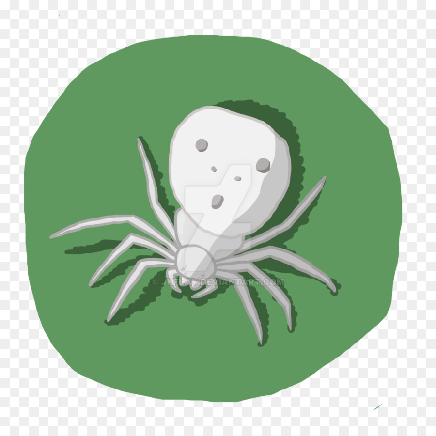 Dibujo，Araña PNG