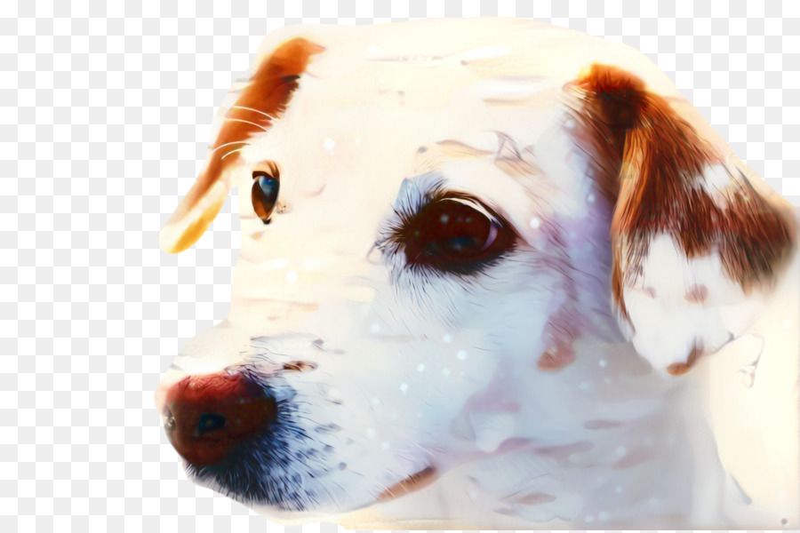 Perro，Cachorro PNG