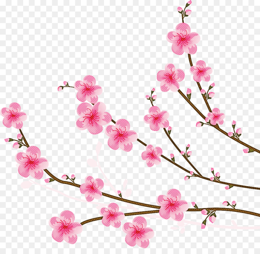 Flor，Florecer PNG