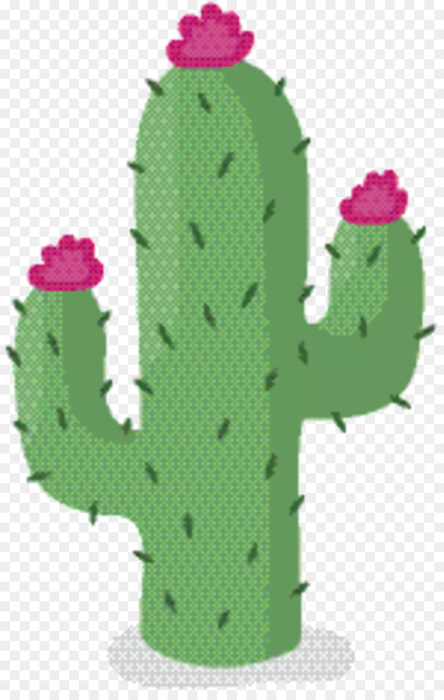 Nopal，Maceta PNG