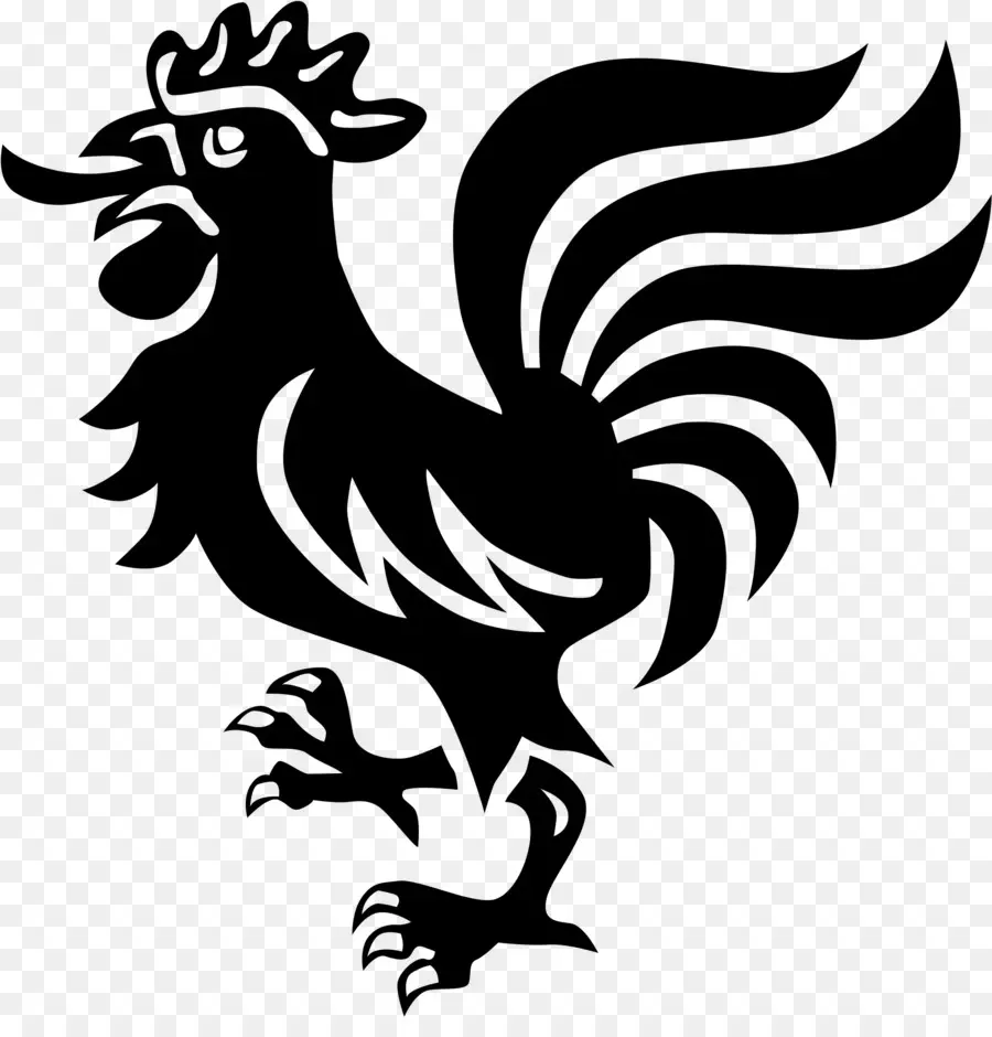 Pollo，Gallo PNG