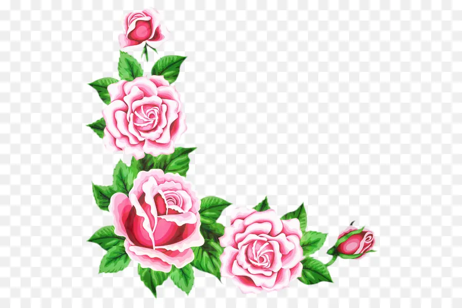 Rosas，Rosa PNG