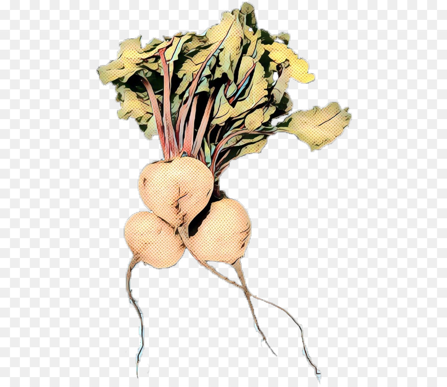 Vegetal，Flor PNG