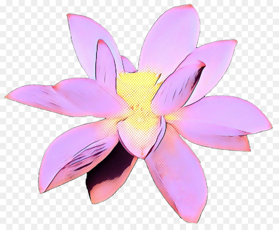 Flores，Florecer PNG