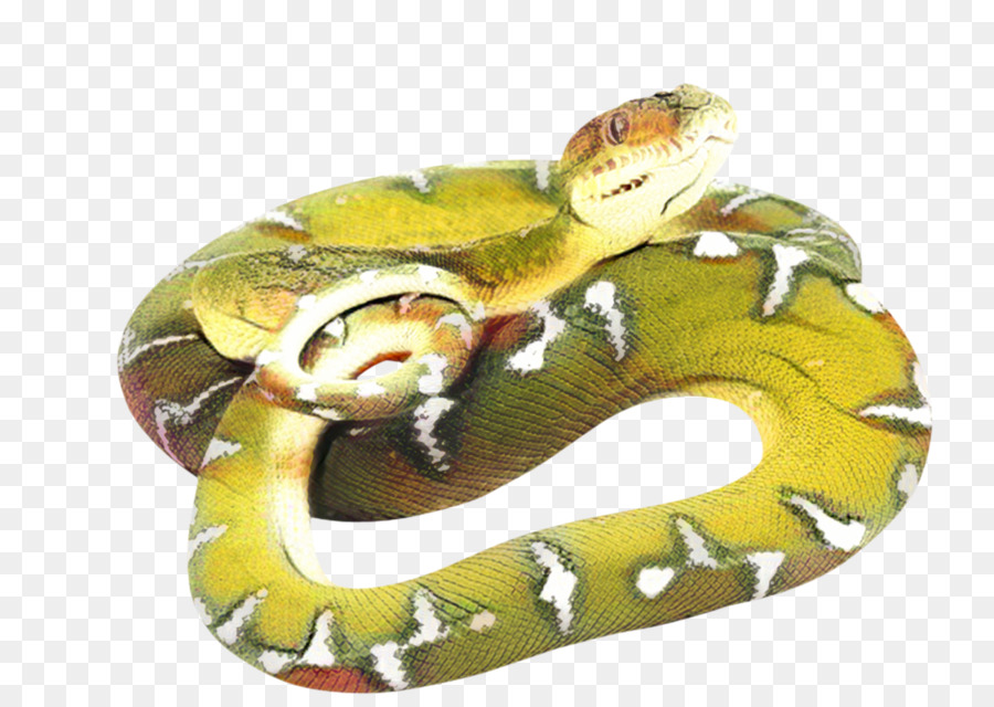Las Serpientes，Reptiles PNG